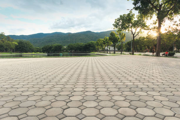 Best Custom Driveway Pavers  in La Grange, TX